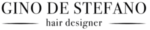 logo gino de Stefano