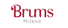 logo brums