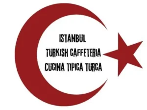 logo Turkish