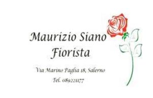 maurizio siano fiorista