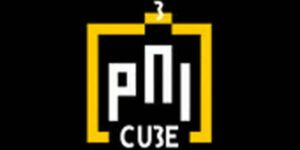 logo-PNI-cube