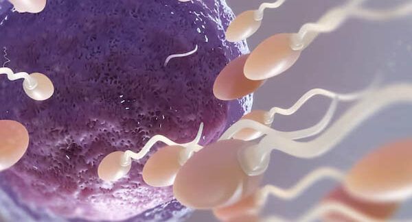 Le-10-migliori-cliniche-per-la-fertilità-a-Milano