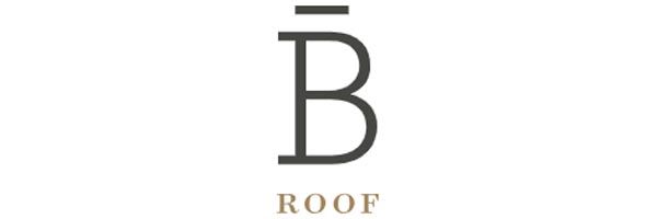 logo-b-rppf