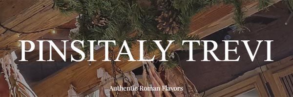 logo-pinsitaly-trevi