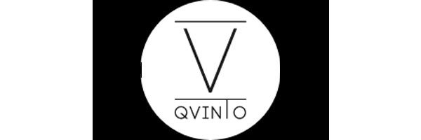 logo-qvinto