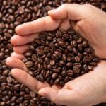 Le 10 migliori marche di caffè in Italia
