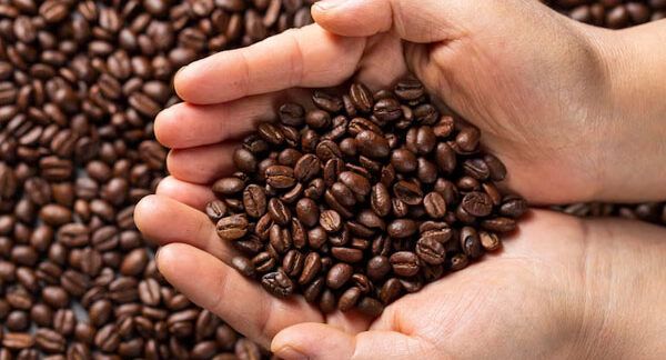 Le 10 migliori marche di caffè in Italia