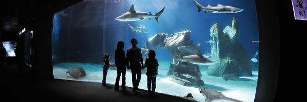 logo-acquario-di-genova