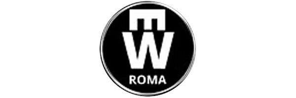 logo-electric-world-roma