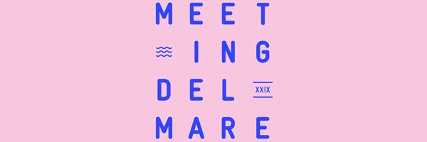 logo meeting delmare