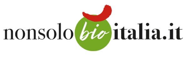 logo-non-solo-italia