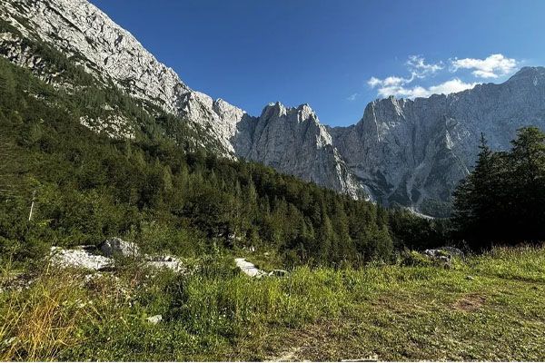 Bosque de Tarvisio