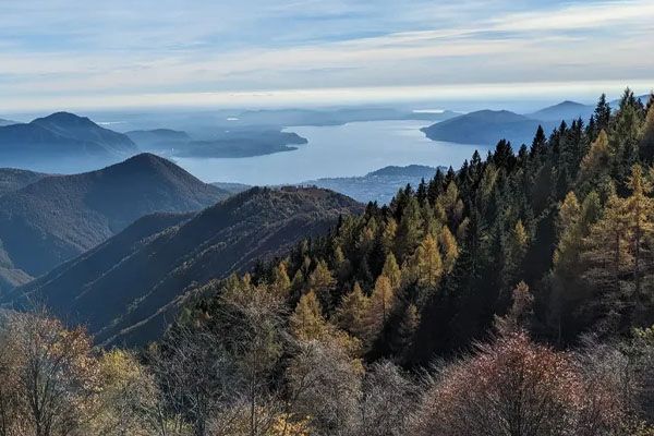 Selva Val Grande