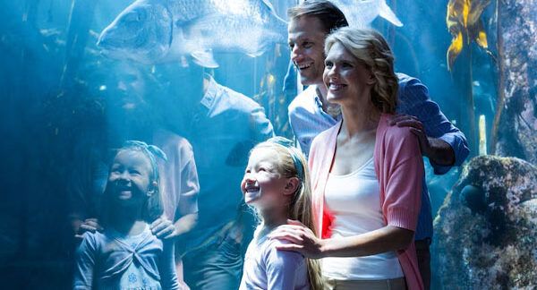 Top 10 degli acquari in Italia