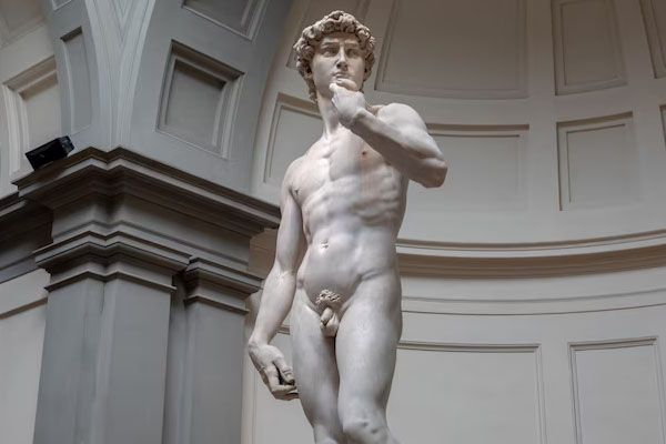 david