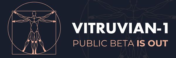 logo vitruvian 1