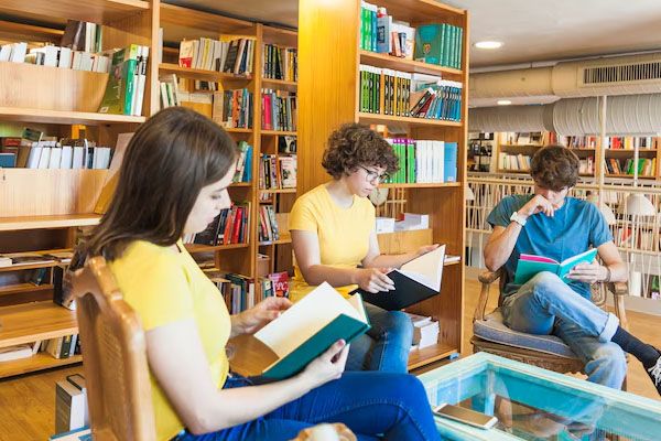 Biblioteche comunali