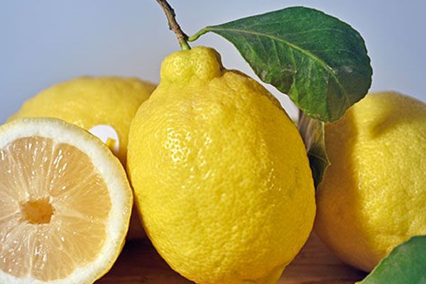 Limoni di Sorrento