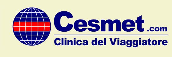 logo cesmet
