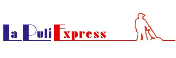 logo la puli express