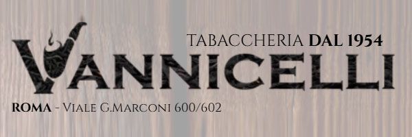 logo vannicelli