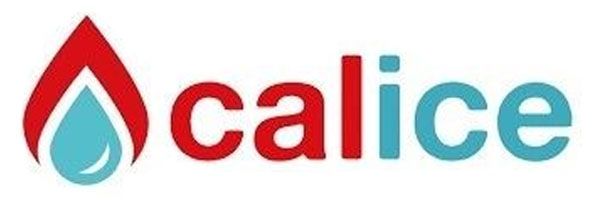 logo calice