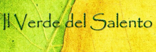logo il verde del salento