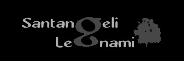 logo santangeli legnami