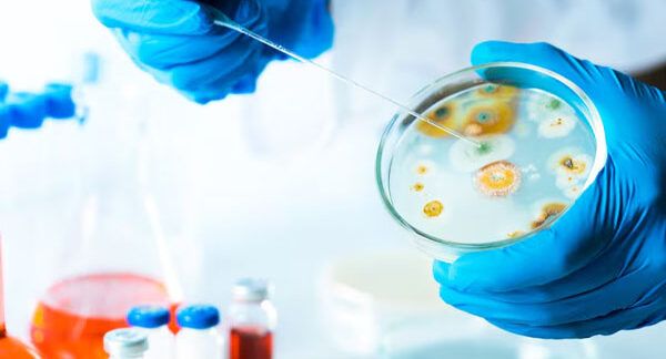 microbiologi in Italia