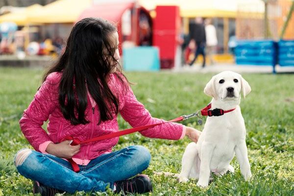 Ragazza con un cane seduta nel parco