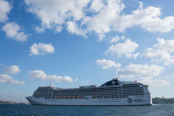 enorme nave da crociera in mare