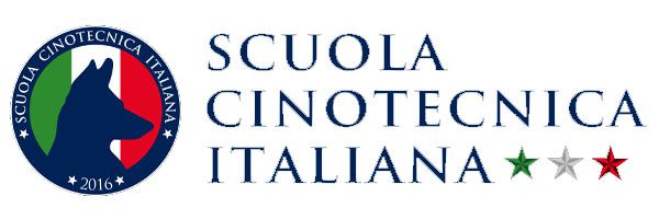 logo Scuola sicotecnica italiana
