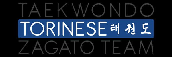 logo taekwondo torinese zagat team