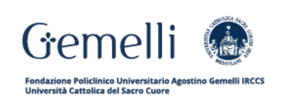 logo gemelli