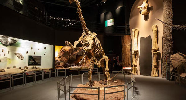 I 10 migliori musei scientifici d'Italia