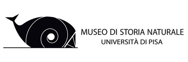 logo museo di storia naturale di pisa