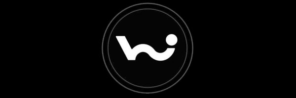 logo wind raiders