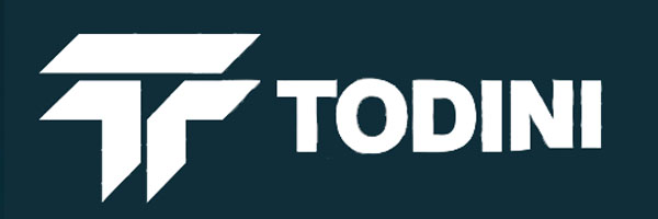 logo todoni