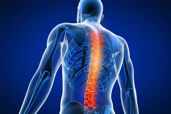 Modellazione 3D di un corpo con il profilo della colonna vertebrale