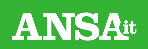 logo ansa