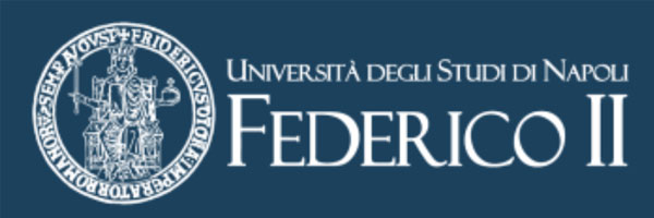 logo Università degli Studi di Napoli