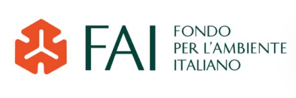 logo fai