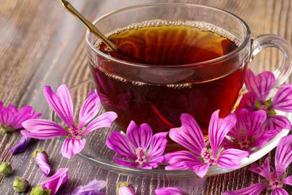Infuso di Malva e Liquirizia
