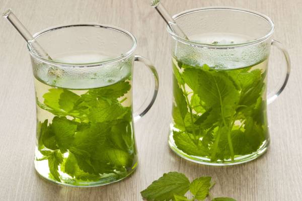 Infuso di Melissa e Verbena Odorosa