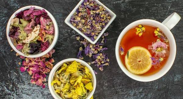 Le 10 migliori tisane medicinali a italia