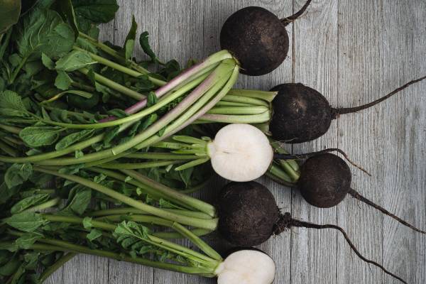 Sciroppo di Ravanello Nero o Cipolla