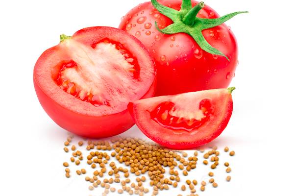 Semi di Pomodoro