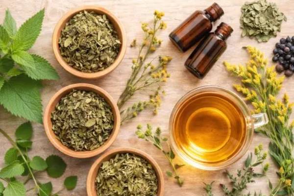 Tisana all'Uva Ursina e Gramigna