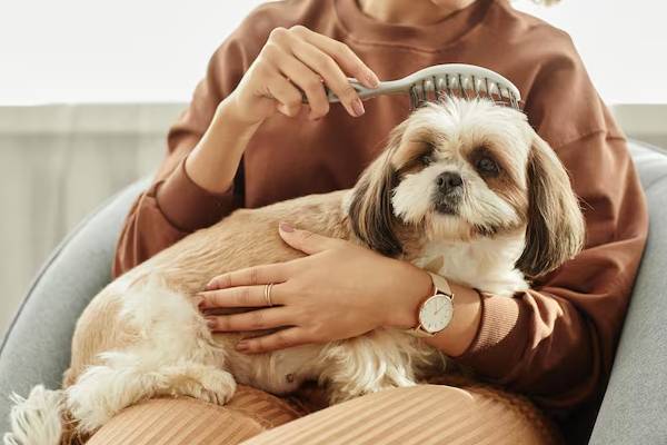 Una persona gioca con il proprio animale domestico a casa