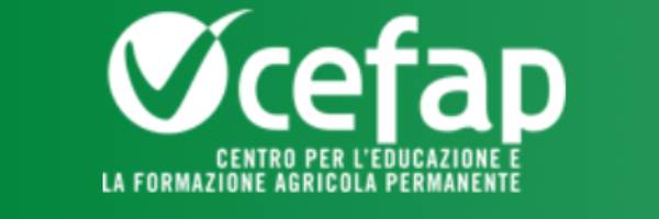 logo cefap